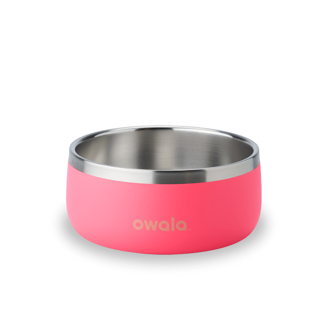 Pet Bowl - OPQE