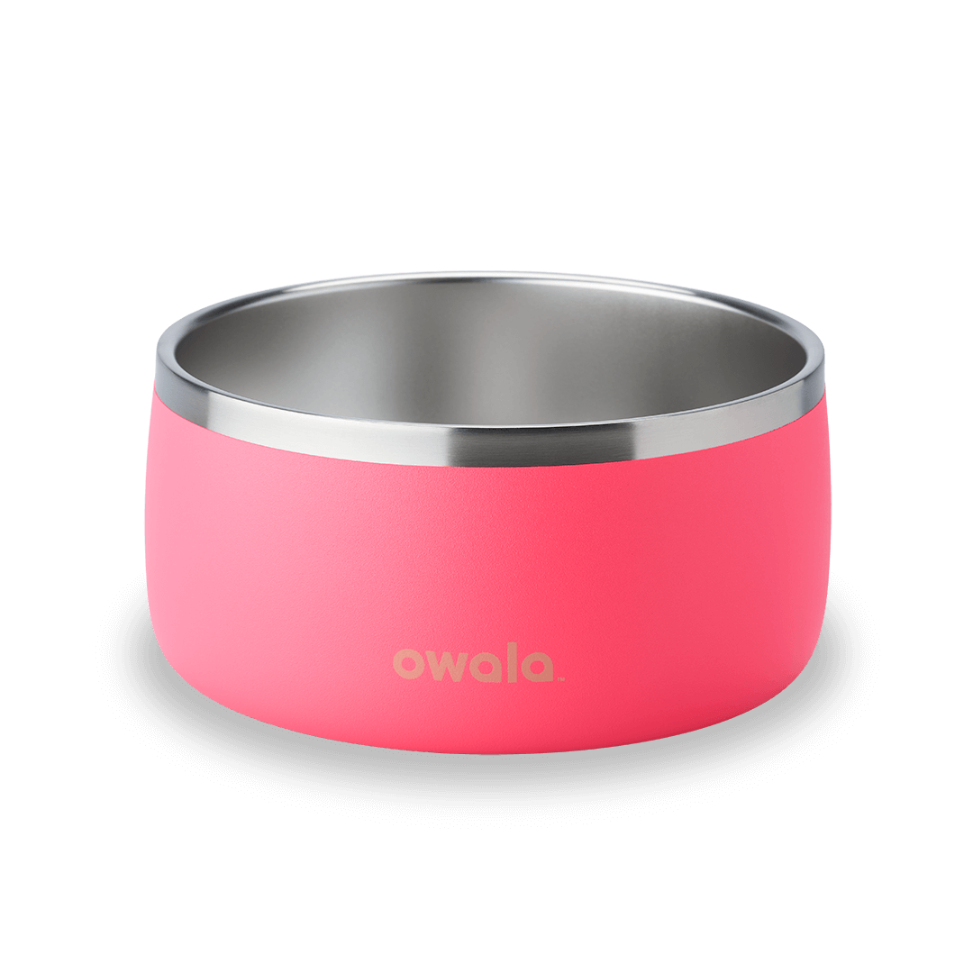 Pet Bowl - OPQE